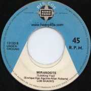 heavy45s.com Shains