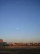 Shajo