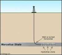 Shale