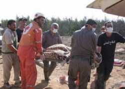 themilitant.com Shalha