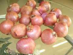 eliansheng.com Shallot