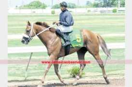 jamaicaobserver.com Shamaree