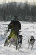 sleddogstudio.com Shamariah