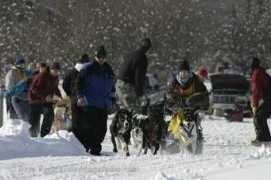 sleddogstudio.com Shamariah