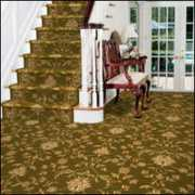 bettercarpetwarehouse.com Shamilar