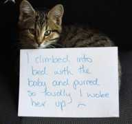 Shaming