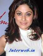 whitegadget.com Shamitha