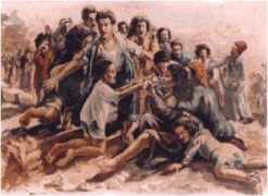 Shammout