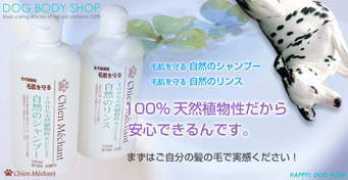 e-designshop.co.jp Shamrin