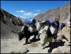hunzaholidays.com Shamshil