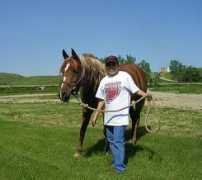joreequestrian.com Shanaia