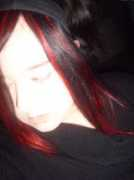 Shandee