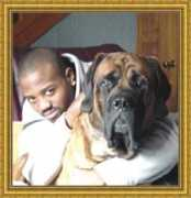 madiganmastiffs.com Shangi