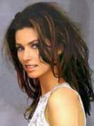 teamstersonline.com Shaniatwain
