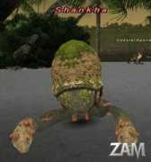 Shankha