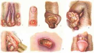 medical-enc.ru Shankr
