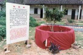 paulnoll.com Shantai