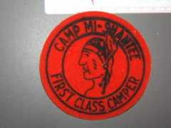 thescoutpatchauction.com Shantee