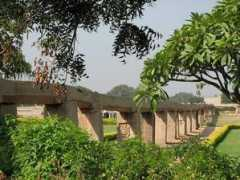 wn.com Sharangi