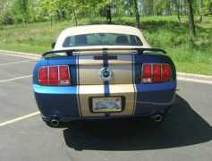 mustangworld.com Sharans