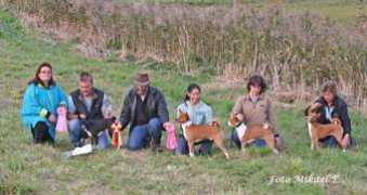 lure-coursing.com Sharans