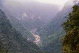 Sharavathi
