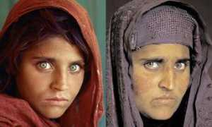 dawn.com Sharbat