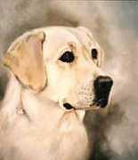 petsprogram.com Sharean