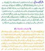 trueislam.info Shareeq