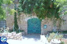 zissil.com Sharei