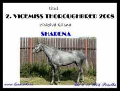 vip-dostihaci.wbs.cz Sharena