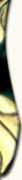 Shareque