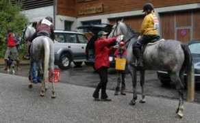 arabianhorses.ch Shariba