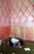 sptimes.com Sharifzada