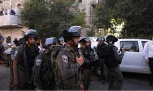 israelnationalnews.com Sharim