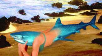 Sharkgirl