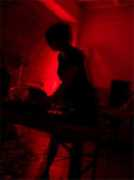 stin-g.com Sharki