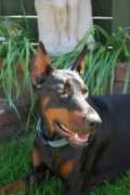 luna-scura.com Sharly