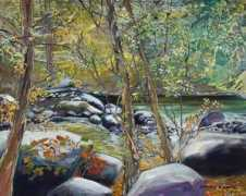 ashevillenow.com Sharole