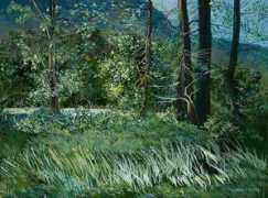 ashevillenow.com Sharole