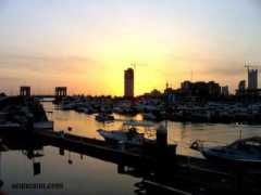Sharq