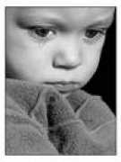 shakwmakw.com Sharqawy