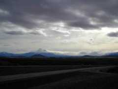 Shasta