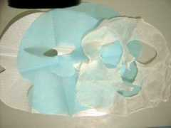 forum.pchome.com.tw Shatina