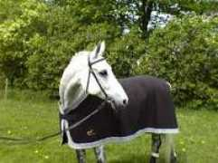 Shatoo