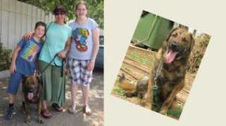 rehovotlovesanimals.org Shavit