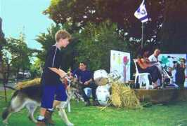 pinat-hay.com Shavu
