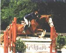 someday-farm.com Sheady
