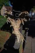 fotolibra.com Sheaf