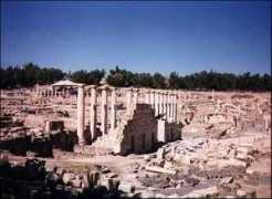 Shean